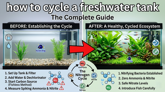 How to Cycle a Freshwater Aquarium